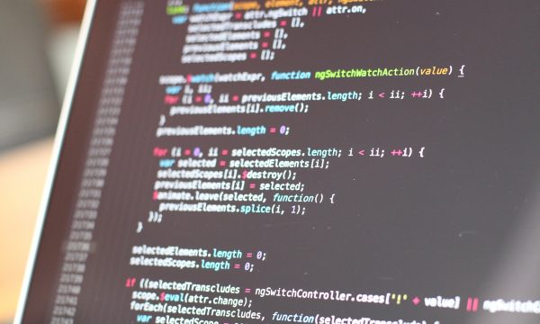 Foto di fancycrave1 da Pixabay sviluppo programmi aziende