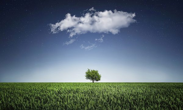 Foto di Bessi da Pixabay soluzioni cloud